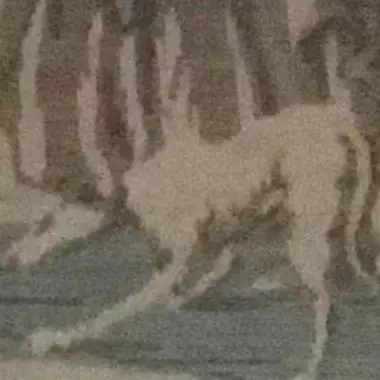 fragm�nto del gobelino italiano Gobelino (plaza De San Marcos ) 