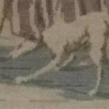 parte del gobelino : que muestra mas a detalle im�genes Gobelino (plaza De San Marcos ) 