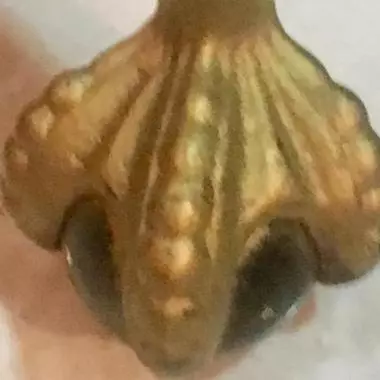 pata del taburete de metal ( pata de aguila ) Taburete