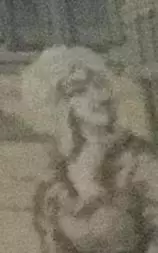 Gobelino (plaza De San Marcos ) 