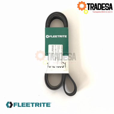 Banda De Motor 8 Hilos (8pk1840,k080723) FLEETRITE 1842455C1 