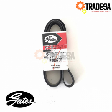 Banda De Motor 8 Hilos (8pk1780) GATES K080700 