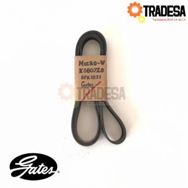 Banda De Motor 8 Hilos (8pk1830) GATES K080720 