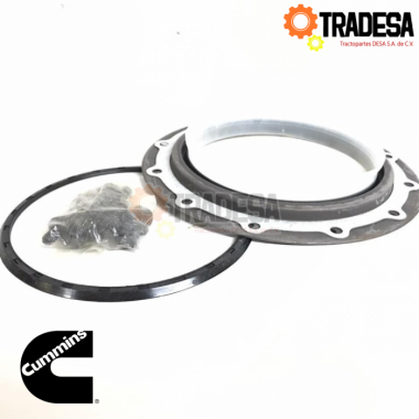 Reten Trasero De Cigueñal Cummins L10, M11 Cummins 4089544 71701197145