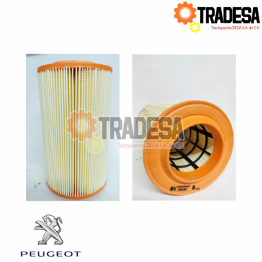 Filtro De Aire Peugeot PEUGEOT P1606402680 