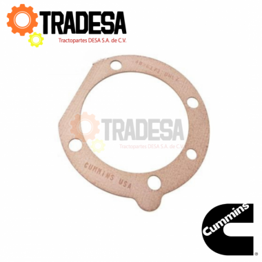 Empaque De Bomba De Combustible Cummins 350/400, N14, L10 (bomba De Inyeccion) (3069103, 3048341, 3035053, 3821308) CUMMINS 4026171 