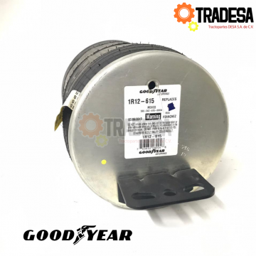 Bolsa De Aire Volvo (w01-358-8829) GOODYEAR 1R12-615 