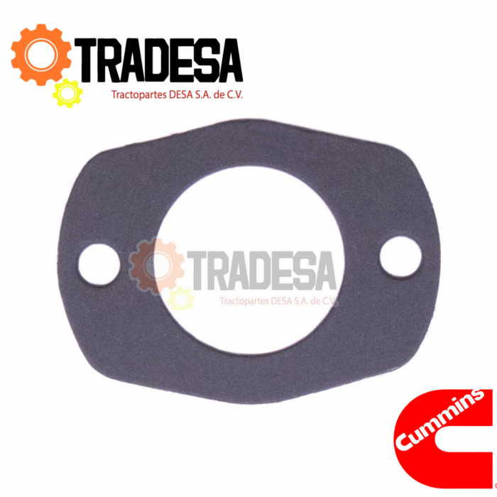 Empaque Bomba De Agua Cummins 350/400, N14 IMPORTACION 3019158 