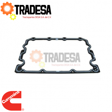 Empaque De Tapa De Balancines Y Punterias Cummins N14 CUMMINS 3066311 71691690619