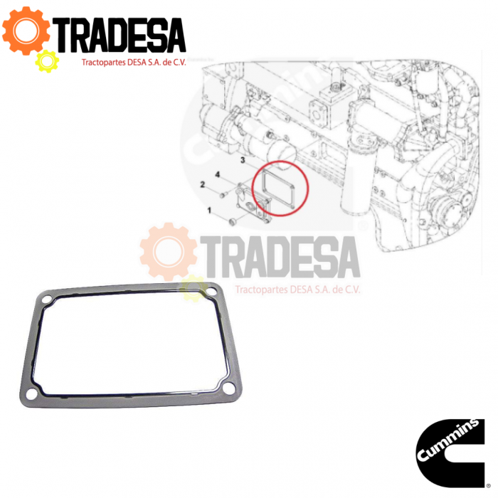 Empaque De Tapa De Orificio Manual Cummins N14, 350/400 CUMMINS 3068466 
