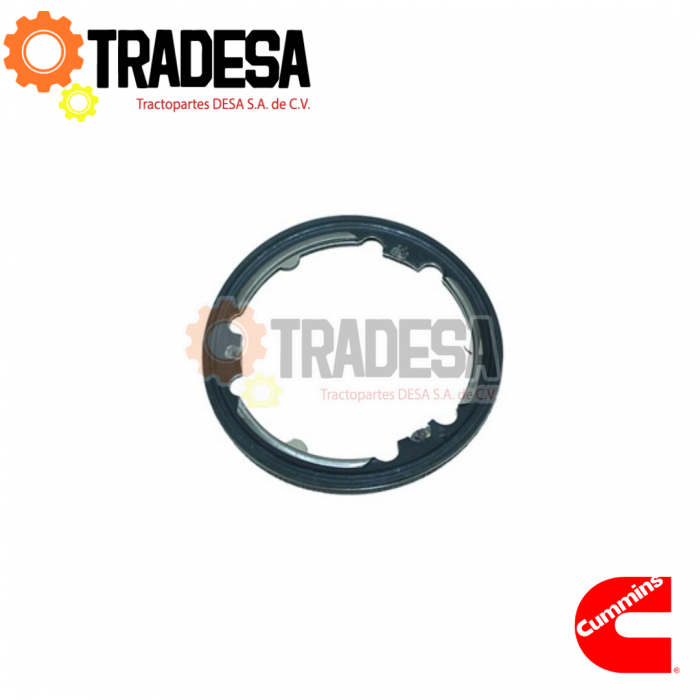 Empaque Valvula Recirculacion Gases Escape Egr Cummins Isx, Qsx Entrada (3101917) Cummins 3104230 71738864498