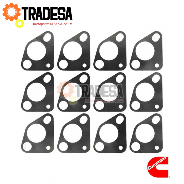 Laina De Ajuste De Bomba De Aceite Cummins Isx, Qsx CUMMINS 3800751 