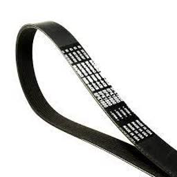 BANDA DE MOTOR 8 HILOS (K080525)(8PK1335) Mwn 3621637C1 71702753026
