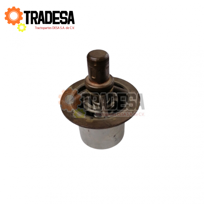 Termostato De Agua 180º International Dt360 IMPORTACION 687018C2 71716393578