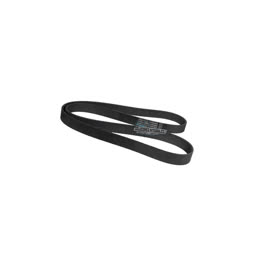 BANDA DE MOTOR 8 HILOS 97 PULGADAS DE LARGO Importacion BAN97 71750975370