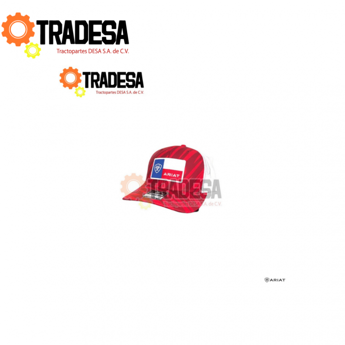 Gorra Bicolor ARIAT A300017204 