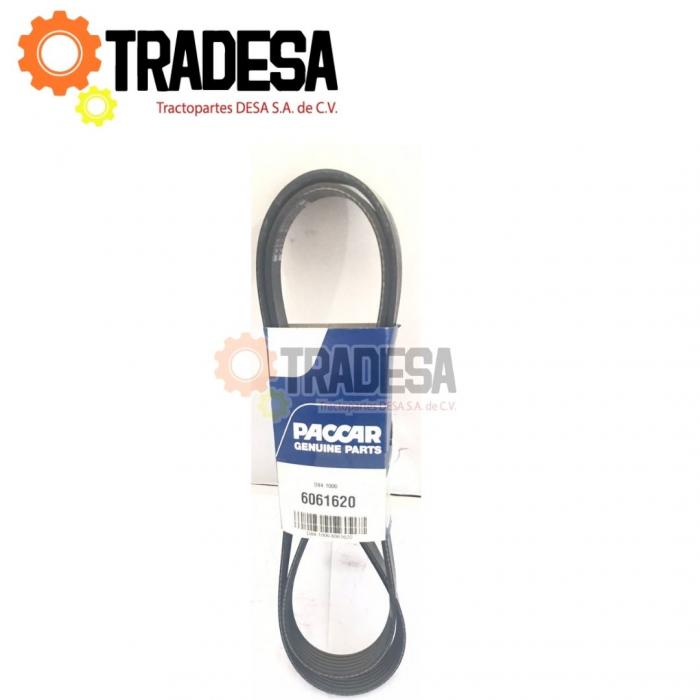 Banda De Motor 6 Hilos (6pk1620,01-32162-619) PACCAR D84-1000-6061620 