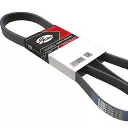 Banda De Motor Freightliner Columbia 8 Hilos GATES K080956 