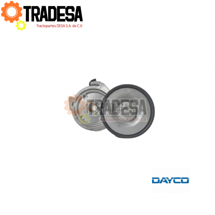 Polea Tensora Mercedez Benz 904 906 DAYCO APV1055 