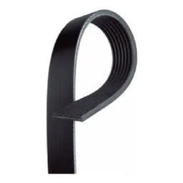 Banda Altenador (micro V) 7 HILOS Gates K070733 71750962606