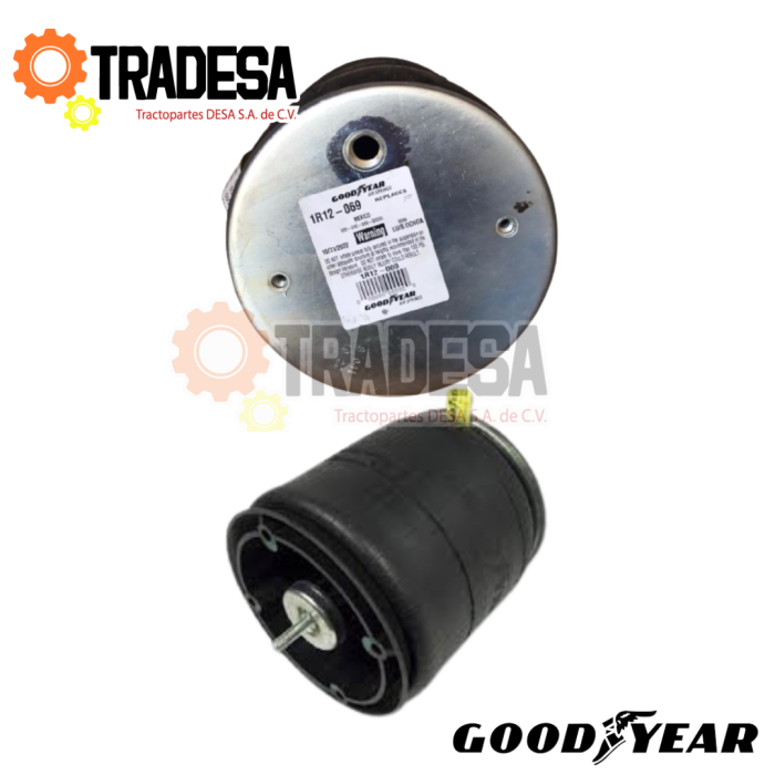 Bolsa De Aire Para International GOOD YEAR 1R12-069 71725299940
