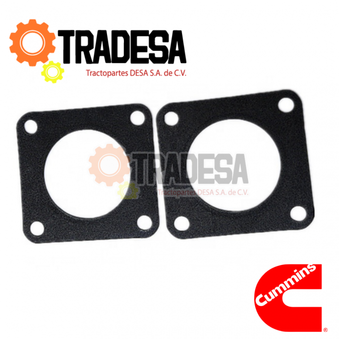 Empaque Caja De Termostato Cummins L10, M11, N14 MC BEE M-3818841 