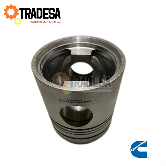 Piston Para Cummins Pst,eng CUMMINS 3095704SN 