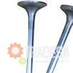 Valvula De Admision International Dt466e MCBEE M-1839968C1 71692230800